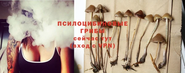 дживик Баксан