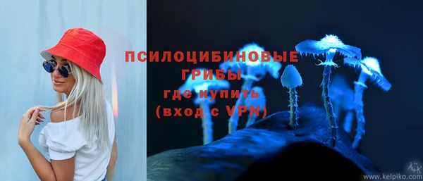 дживик Баксан