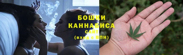 дживик Баксан