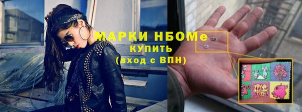молекула духа Арсеньев
