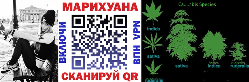 Купить закладки  Оленегорск  Бошки марихуана THC 21% 